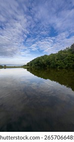 Reflection of Trees in a Calm Lake