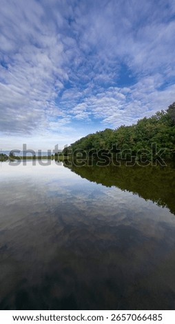 Reflection of Trees in a Calm Lake