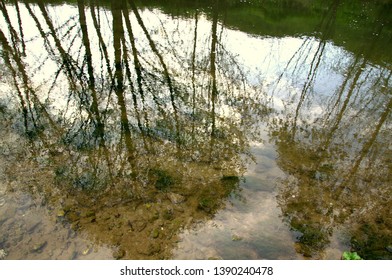 Reflection Of Trees In The Clear Mountain River
