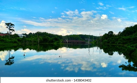 Reflection Of Trees, Clouds, And Building On The Clear Water Lake, Morning Landscape Of Nature Reflection.