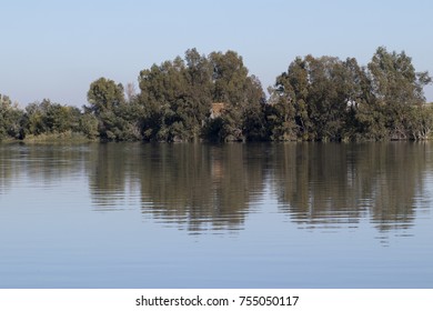 
reflection of trees from the field in the river