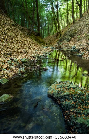 Similar – Green forest in the summer reflecting colors in a rive