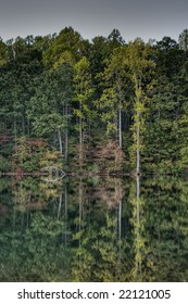 Reflection of trees in lake.