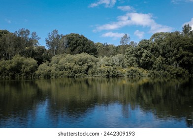 reflection of trees in lake