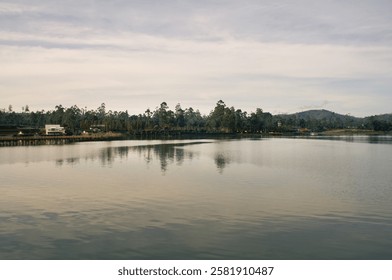 reflection of trees in the lake