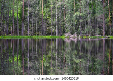 Reflection of trees in a lake in a forest.