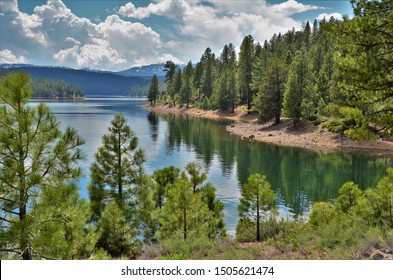 Reflection Of Trees In Lake In The Tahoe National Forest.