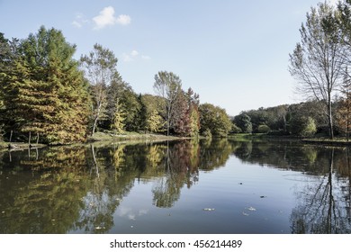 reflection of trees on lake during autumn