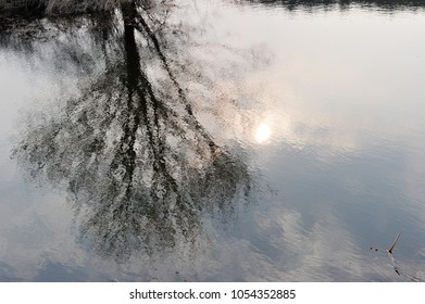 The reflection of trees on the pond