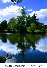 Reflection Of Trees On Red Cedar River