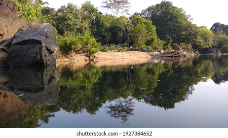 reflection of the trees on the stagnant water