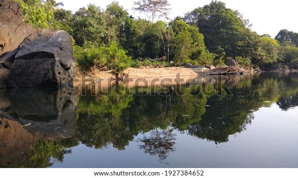 reflection of the\
trees on the stagnant water\
