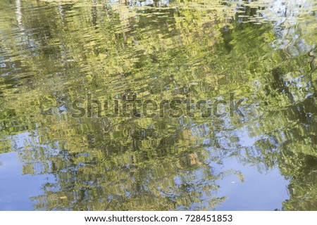 Reflection of trees on the surface of the Charles River along the esplanade, Autumn 2017