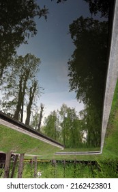 Reflection of trees in water        