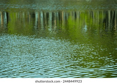 The reflection of the trees in the water - Powered by Shutterstock