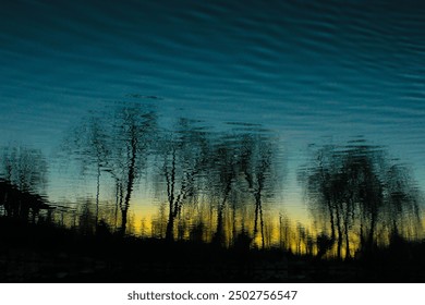 Reflection of trees in the water at sunset
