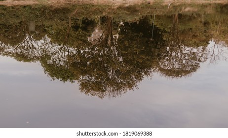 reflection of trees in the waters of a river