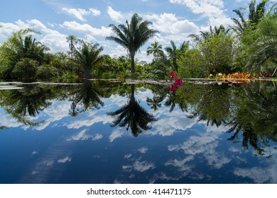 Reflection Of The Tropical Oasis In The Crystal Clear Lake