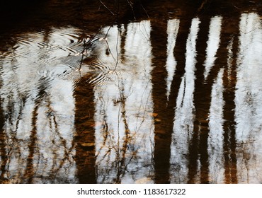 reflection in water