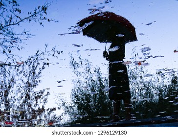 Reflection in the water 