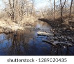 Reflection in Water of Creek in Johnson County, Kansas in Late Autumn