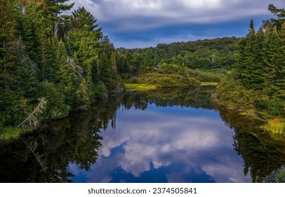 Reflection in the water of a forest river. Forest river landscape. River water reflection in forest. Forest river view