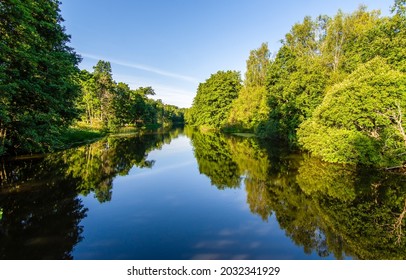 Reflection In The Water Of A Forest River Tree