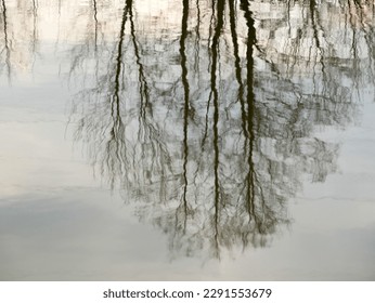 Reflection in the water of the landscape on the shore of the water basin. Beautiful reflection of trees in water.Reflection of silhouettes of trees without leaves, sky,clouds in the water. Copy spase