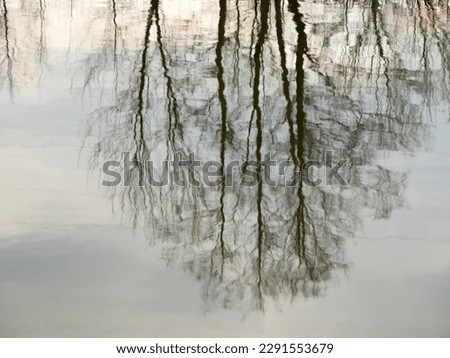 Reflection in the water of the landscape on the shore of the water basin. Beautiful reflection of trees in water.Reflection of silhouettes of trees without leaves, sky,clouds in the water. Copy spase