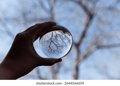 Reflection of a Withered Tree in a Crystal Ball