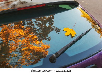 reflection of yellow foliage of maple in the rear window of the 