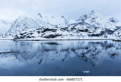 Reflections