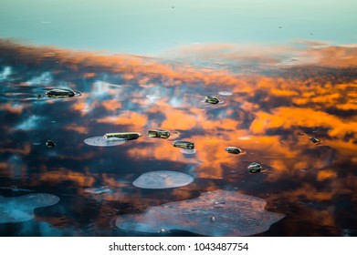 Reflections at the Beach