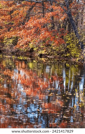 Reflections of Blue Sky and Fall Foliage in a water. Delaware-Raritan Canal State Park , New Jersey, USA.