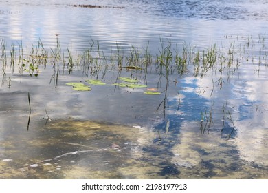 Reflections Of The Blue Sky And White Clouds In The Clear Lake Water