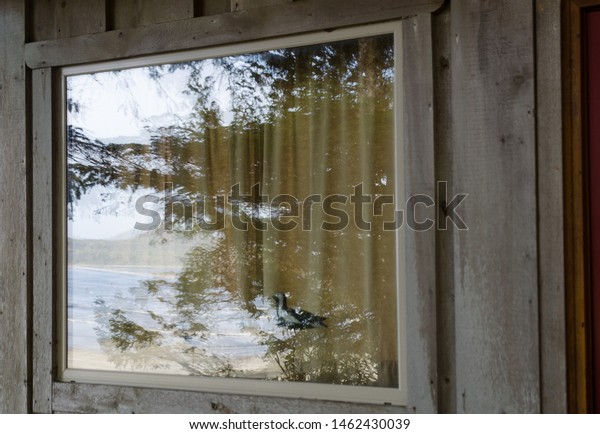 Reflections Chesterman Beach Windows Cabin Tofino Stock Photo