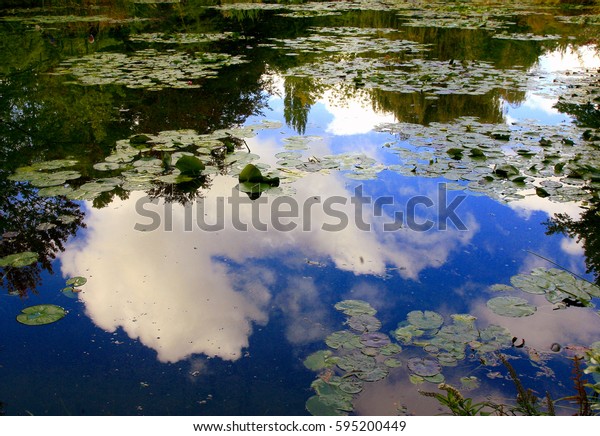 Reflections Clouds Sky Water Lily Pond Stock Photo Edit Now