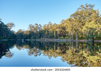 Reflections in the dam at Donnelly River in Western Australia, with indigenous forest in the background.