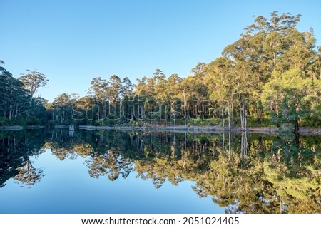 Reflections in the dam at Donnelly River in Western Australia, with indigenous forest in the background.