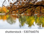 Reflections of Fall include trees at the edge of a pond in city park.