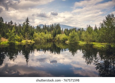Reflections of the Forest on a Wilderness Lake