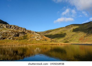 Reflections in a lake 