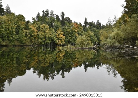 Reflections at Lake Fenwick during Fall