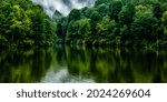 Reflections of late summer,  Stonewall Jackson Lake Wildlife Management Area, Near Roanoke, West Virginia, USA