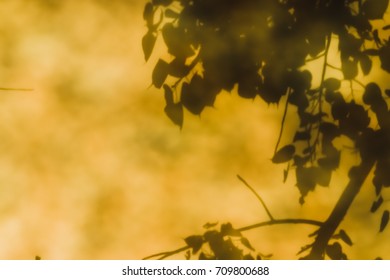 Reflections Of Leaves From The Bodhi Tree, Shadows Taken From The Granite Floor Of Thai Temples.(also Known As Bo Leave)