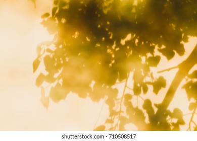 Reflections Of Leaves From The Bodhi Tree, Shadows Taken From The Granite Floor Of Thai Temples.(also Known As Bo Leave)