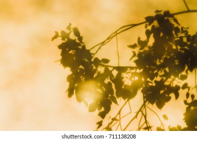 Reflections Of Leaves From The Bodhi Tree, Shadows Taken From The Granite Floor Of Thai Temples.(also Known As Bo Leave)