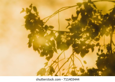 Reflections Of Leaves From The Bodhi Tree, Shadows Taken From The Granite Floor Of Thai Temples.(also Known As Bo Leave)