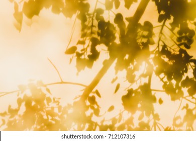 Reflections Of Leaves From The Bodhi Tree, Shadows Taken From The Granite Floor Of Thai Temples.(also Known As Bo Leave)