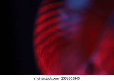 Reflections of liquid in macro, red liquid surface, bubbles in macro, connection of bubbles in macro, cell from liquid, horror background, glossy light